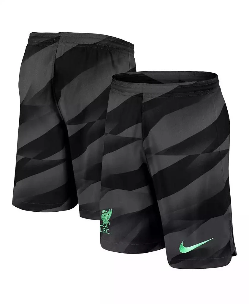 商品NIKE|Men's Anthracite Liverpool 2023/24 Stadium Goalkeeper Performance Shorts,价格¥403,第1张图片