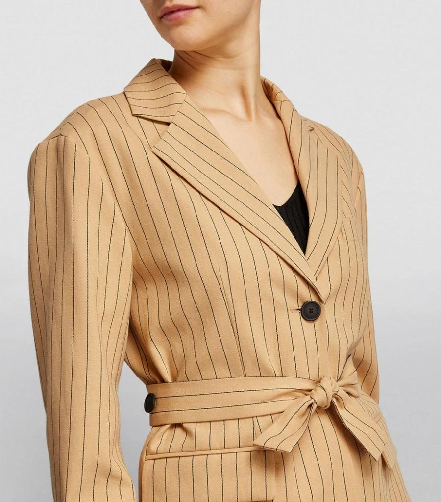 Striped Belted Blazer 商品