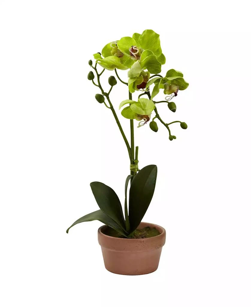 商品NEARLY NATURAL|4-Pc. Phalaenopsis Orchid Set with Clay Vases,价格¥389,第2张图片详细描述