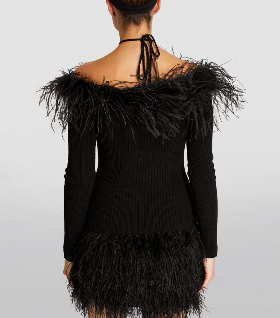 Feather-Trimmed Off-The-Shoulder Sweater商品第4张图片规格展示