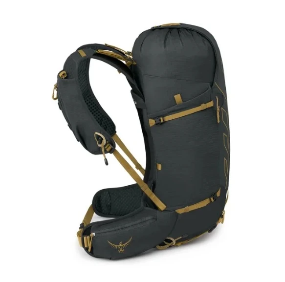 Talon Velocity 魔爪速率20/30L 多功能户外运动旅行 尼龙 户外登山包双肩包书包 常规 男(香港仓发货） 商品