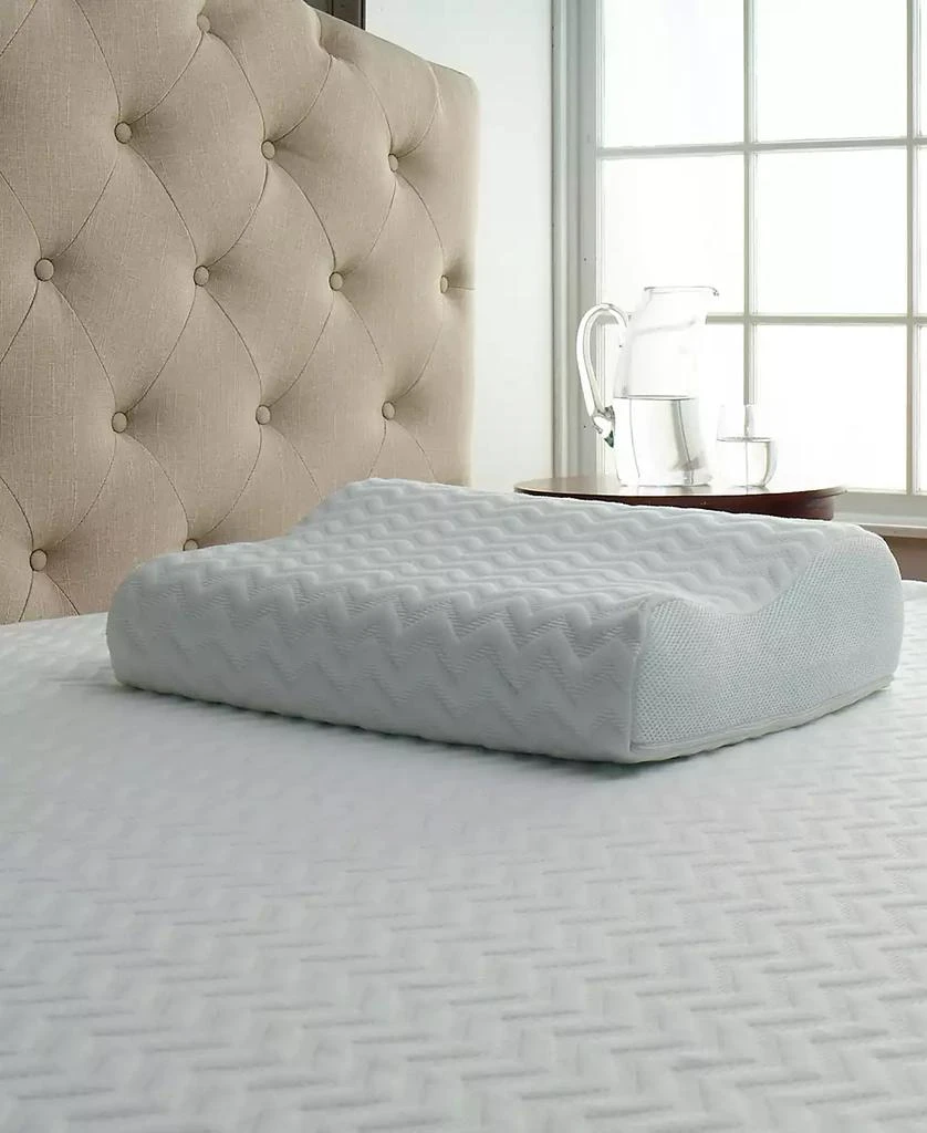 商品Carpenter Co.|Comfort Tech Serene Foam Pillow,价格¥587,第2张图片详细描述
