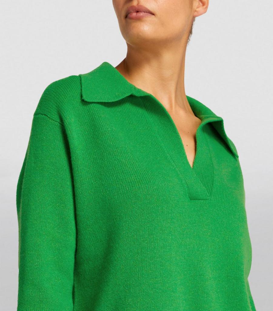 Cashmere Serena Polo Sweater商品第6张图片规格展示
