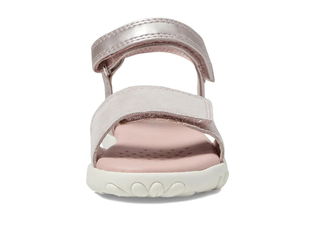 商品Geox|Sandal Haiti 22 (Toddler/Little Kid/Big Kid),价格¥530,第2张图片详细描述