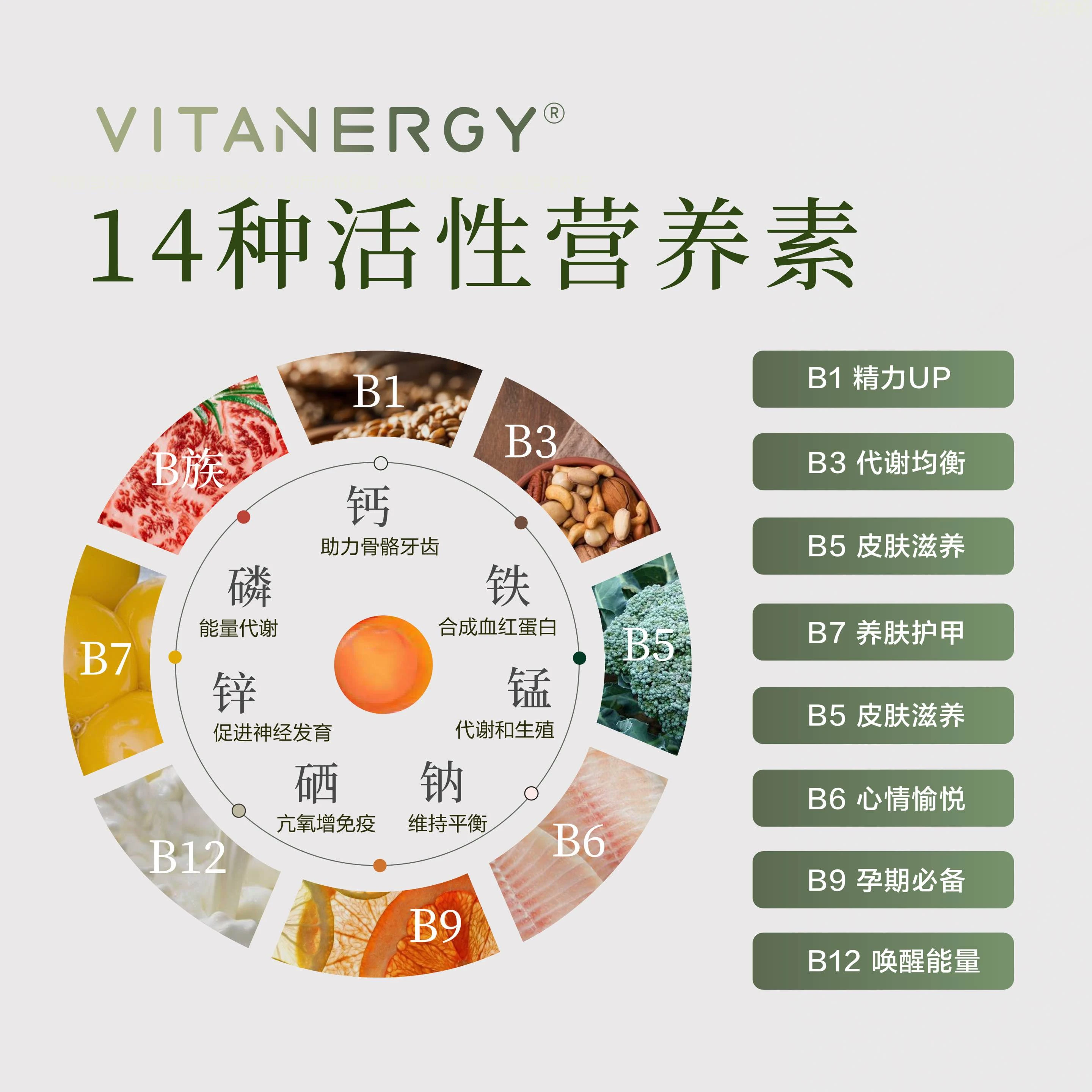 【2026年7月】加拿大Vitanergy维生能复合维生素B族活性叶酸软糖 健康孕育，备孕不反胃| VITANERGY—vitamin B complex GUMMIES WITH FOLATE 商品