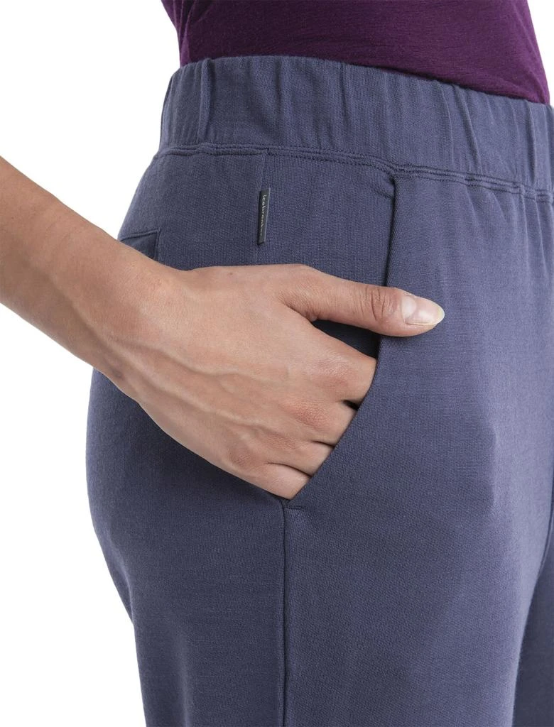 Merino Crush II Ankle Pant - Women's 商品