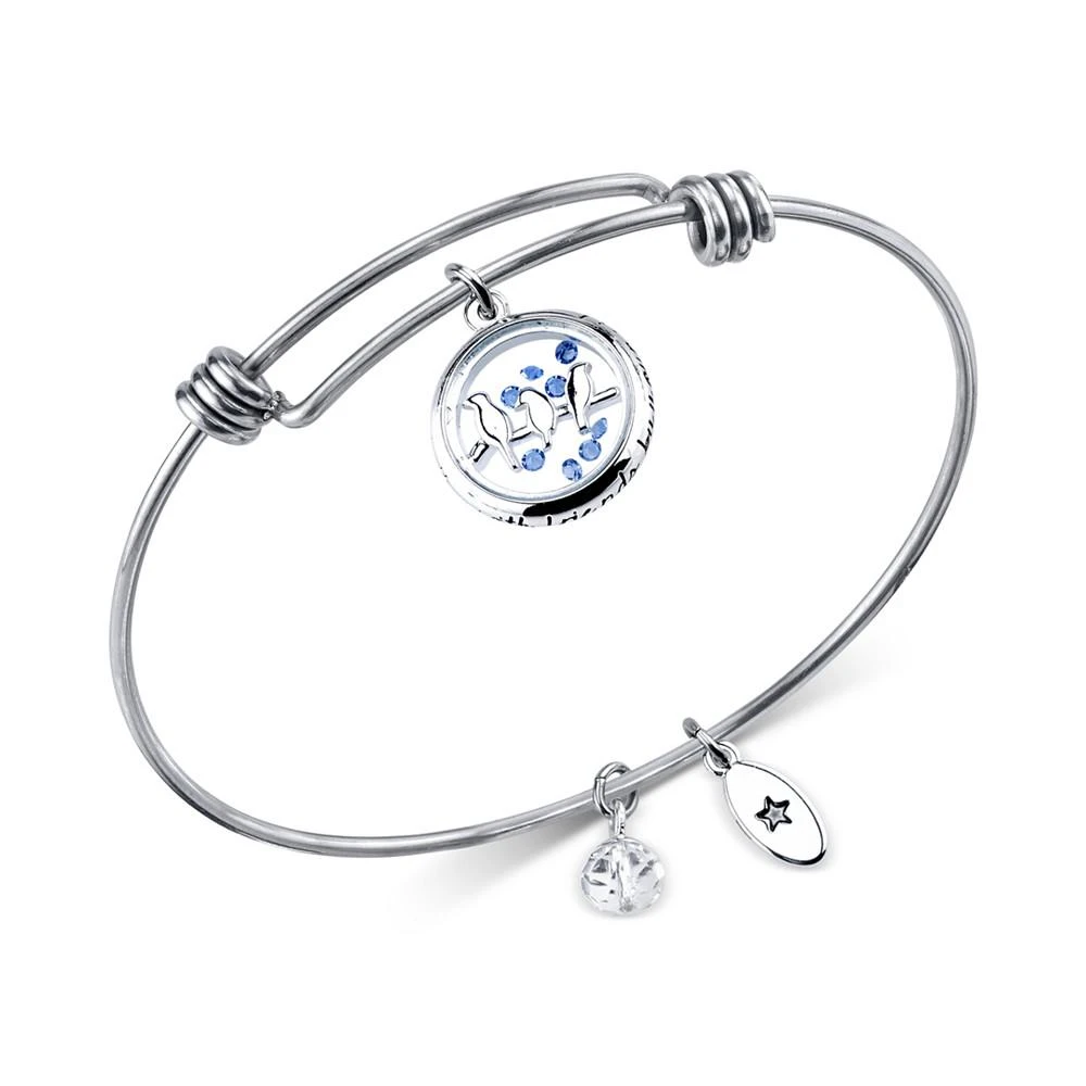 商品Unwritten|Bird Charm Bangle Bracelet in Stainless Steel with Silver Plated Charms,价格¥412,第1张图片