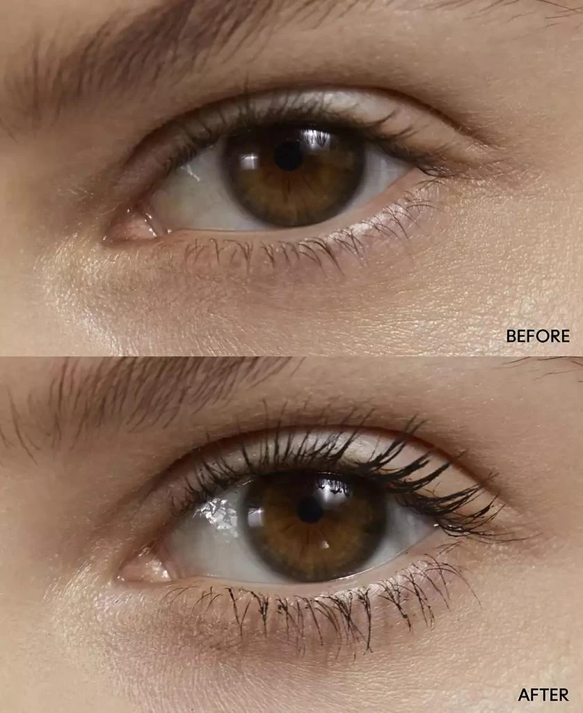 In Extreme Dimension 3D Black Lash Mascara 商品