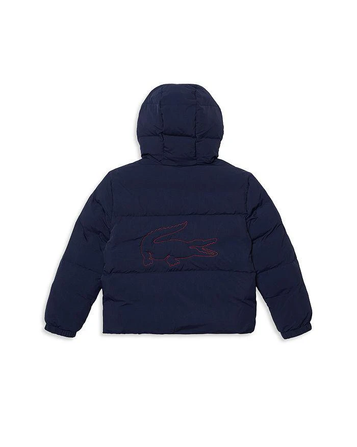 商品Lacoste|Boys' Winter Coat - Little Kid, Big Kid,价格¥1217,第2张图片详细描述