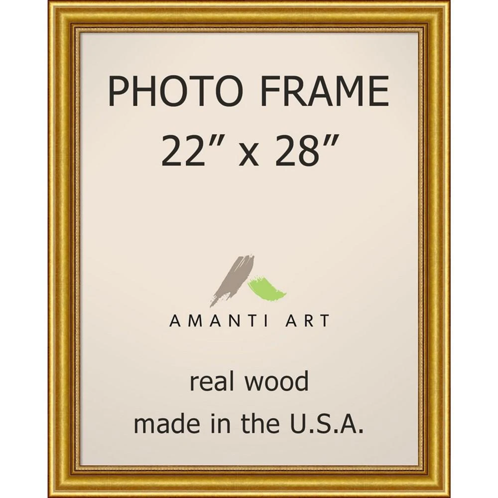 商品Amanti Art|Townhouse Gold 22" X 28" Opening Wall Picture Photo Frame,价格¥2292,第1张图片