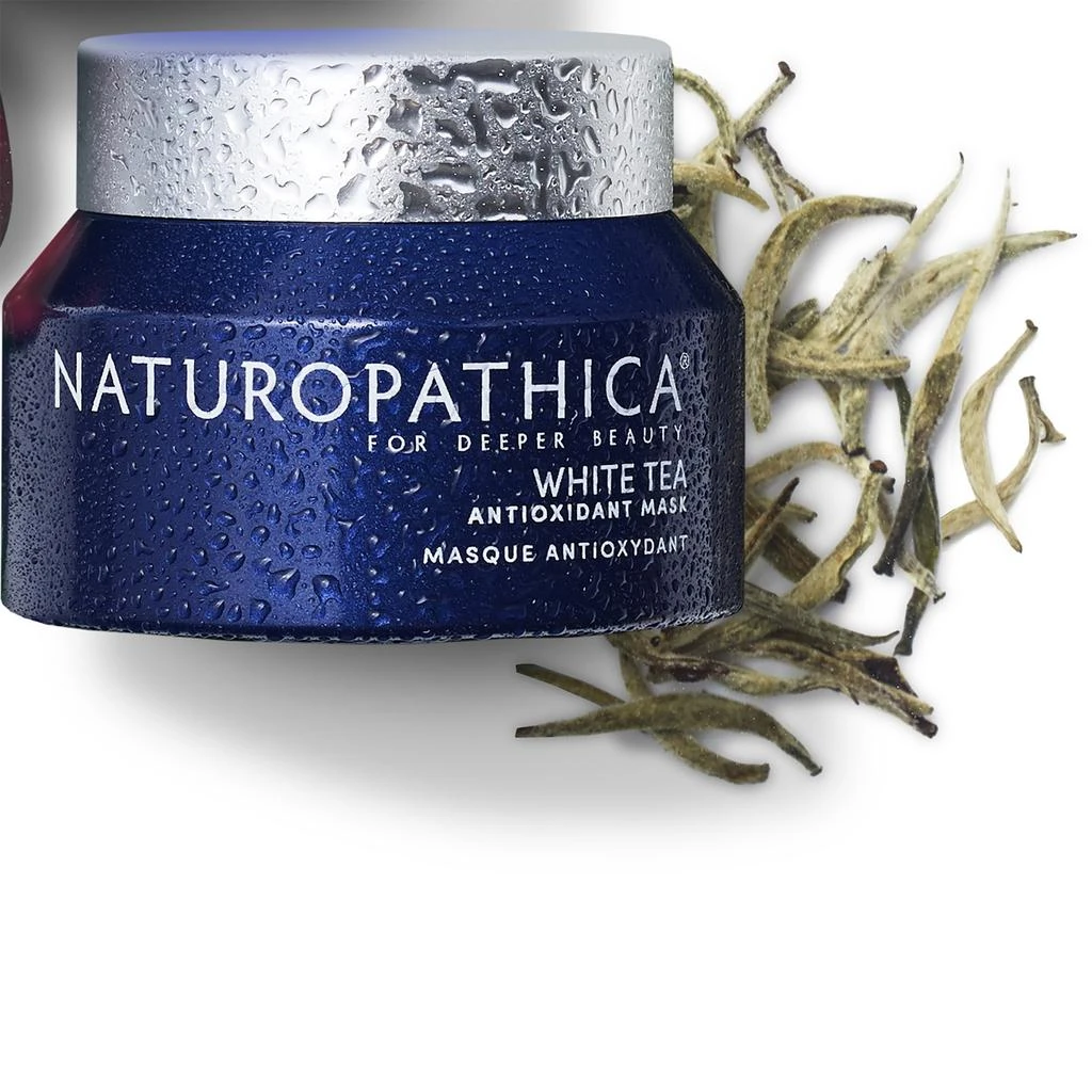 商品Naturopathica|Naturopathica White Tea Antioxidant Mask,价格¥571,第3张图片详细描述