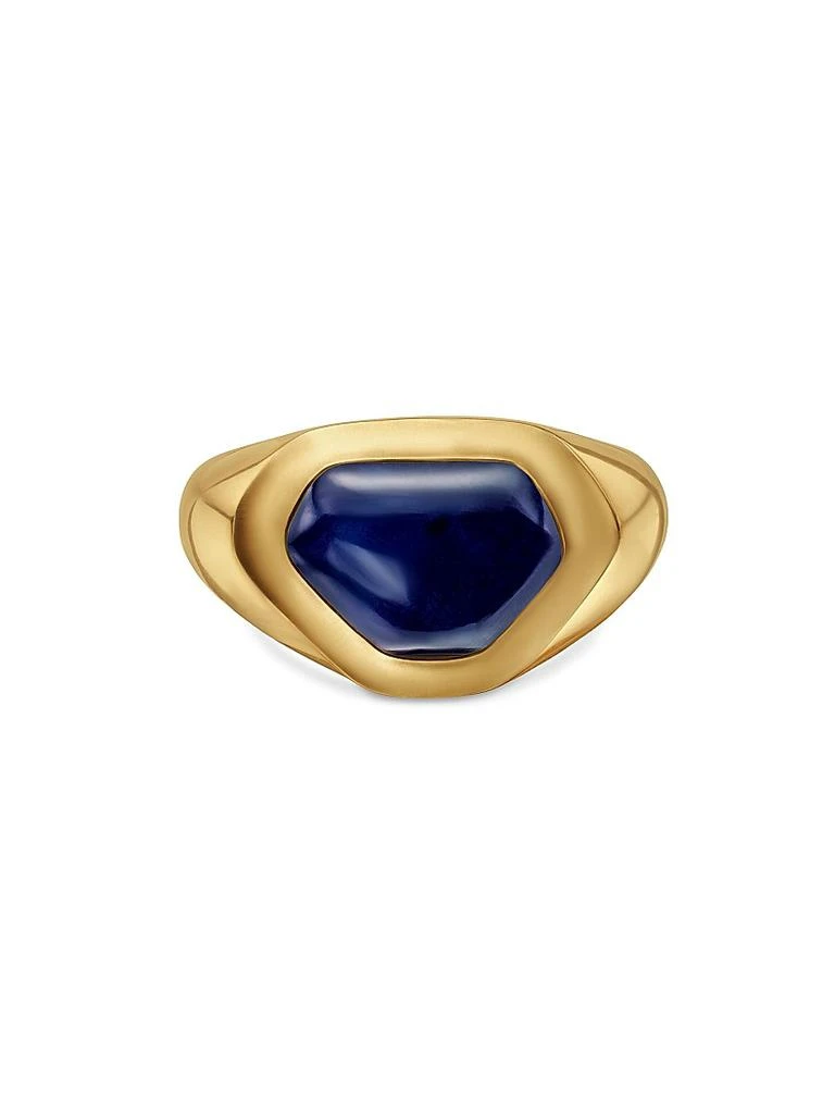 商品David Yurman|Shipwreck Signet Ring in 18K Yellow Gold,价格¥70249,第3张图片详细描述