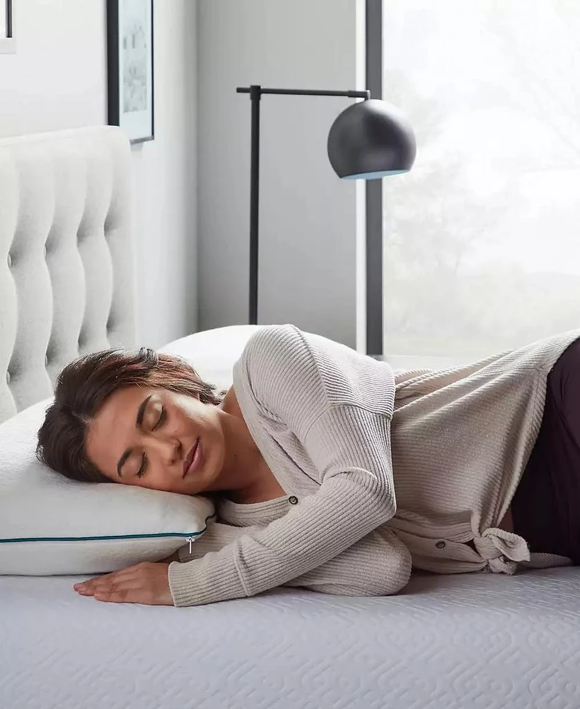 商品Lucid|Lucid Dream Collection Shredded Memory Foam 2-Pack Pillow,价格¥453,第5张图片详细描述