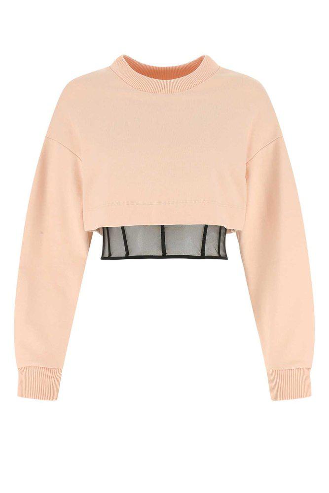 Alexander McQueen Long Sleeved Crewneck Cropped Sweatshirt商品第1张图片规格展示