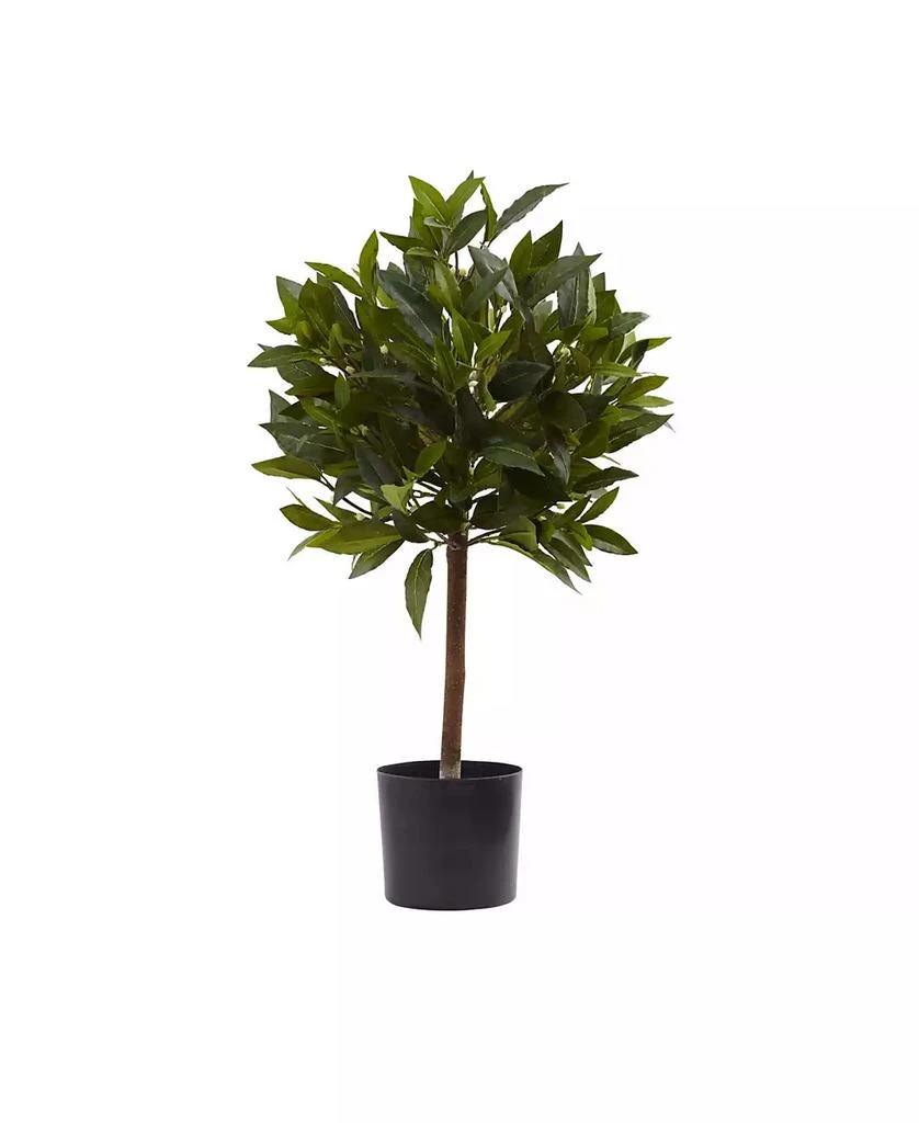 商品NEARLY NATURAL|2' Sweet Bay Mini Ball Topiary,价格¥614,第1张图片