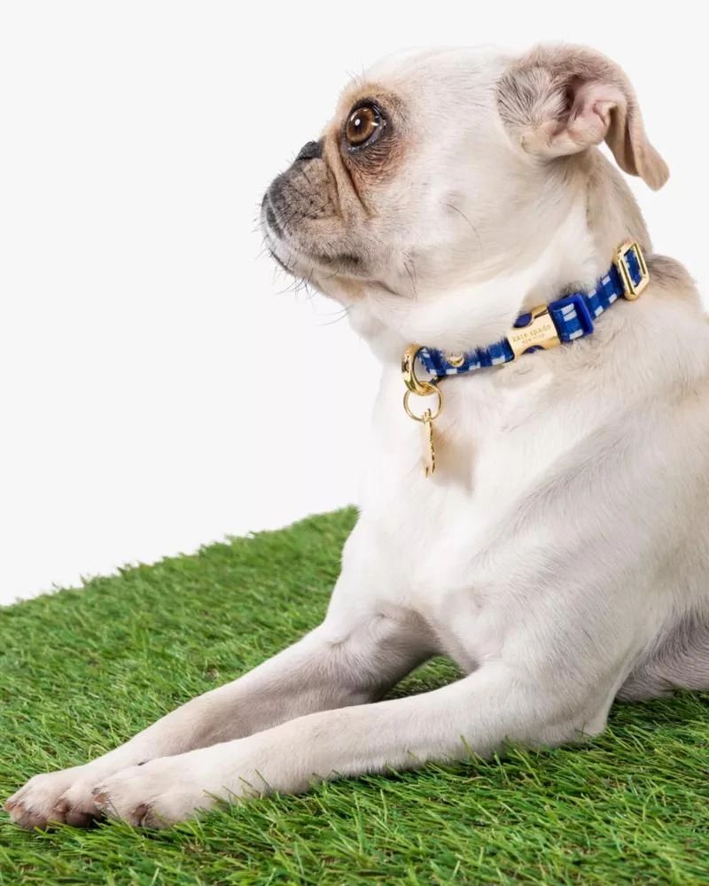 商品Kate Spade|Navy Gingham Collar XS,价格¥214,第5张图片详细描述