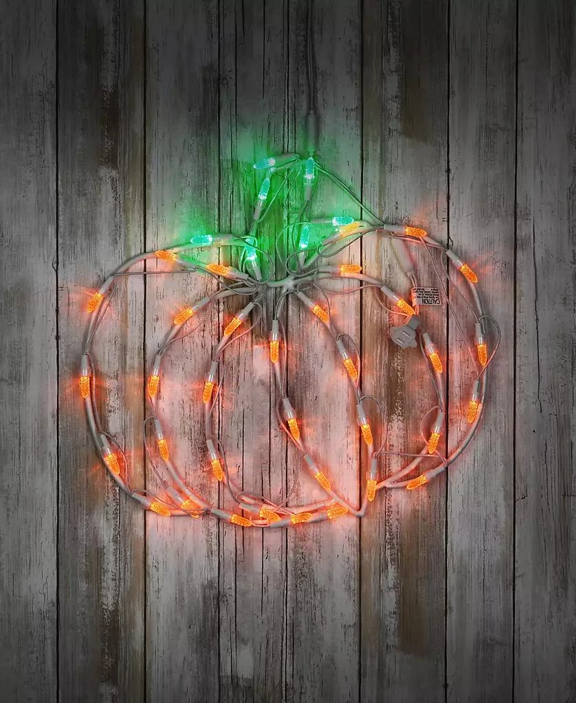 14" Halloween Lighted Pumpkin Decoration 商品