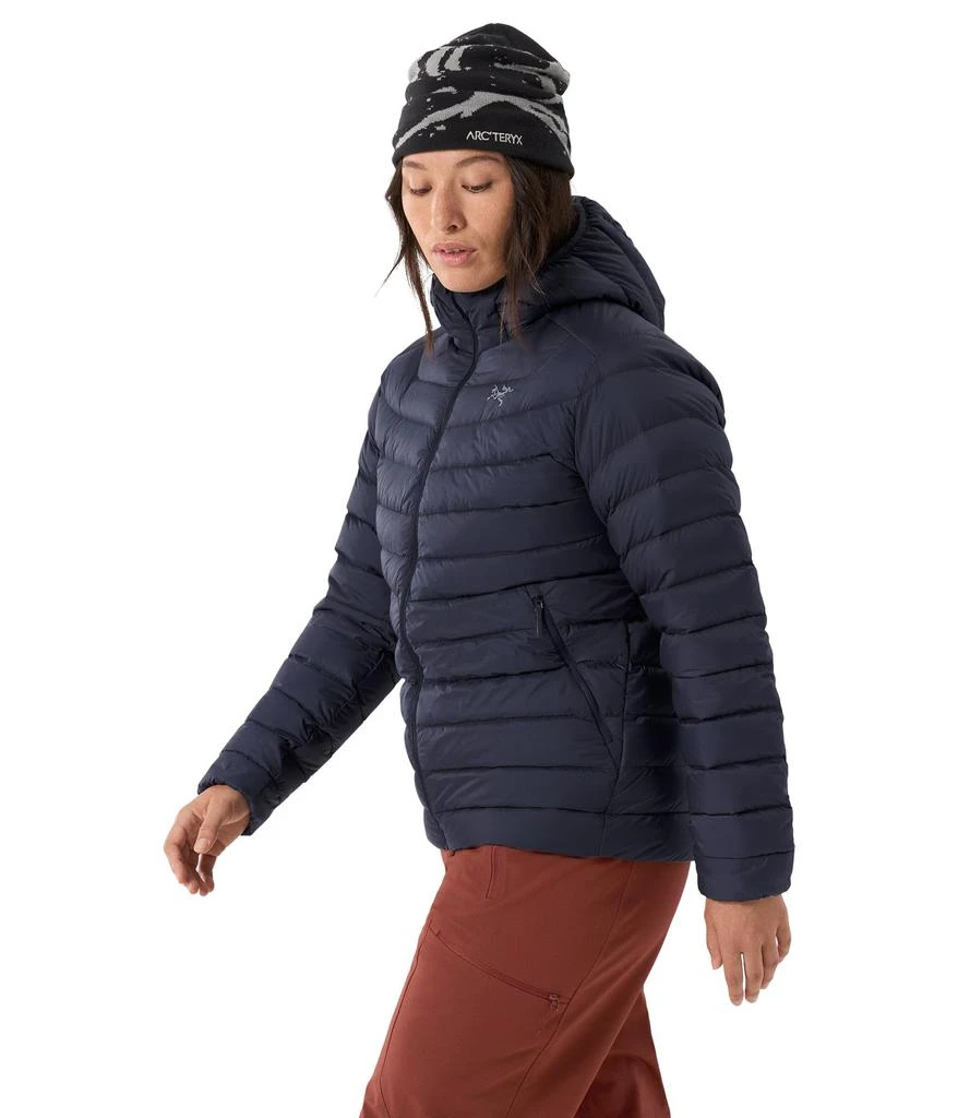 商品Arc'teryx|Cerium Hoodie,价格¥3179,第3张图片详细描述