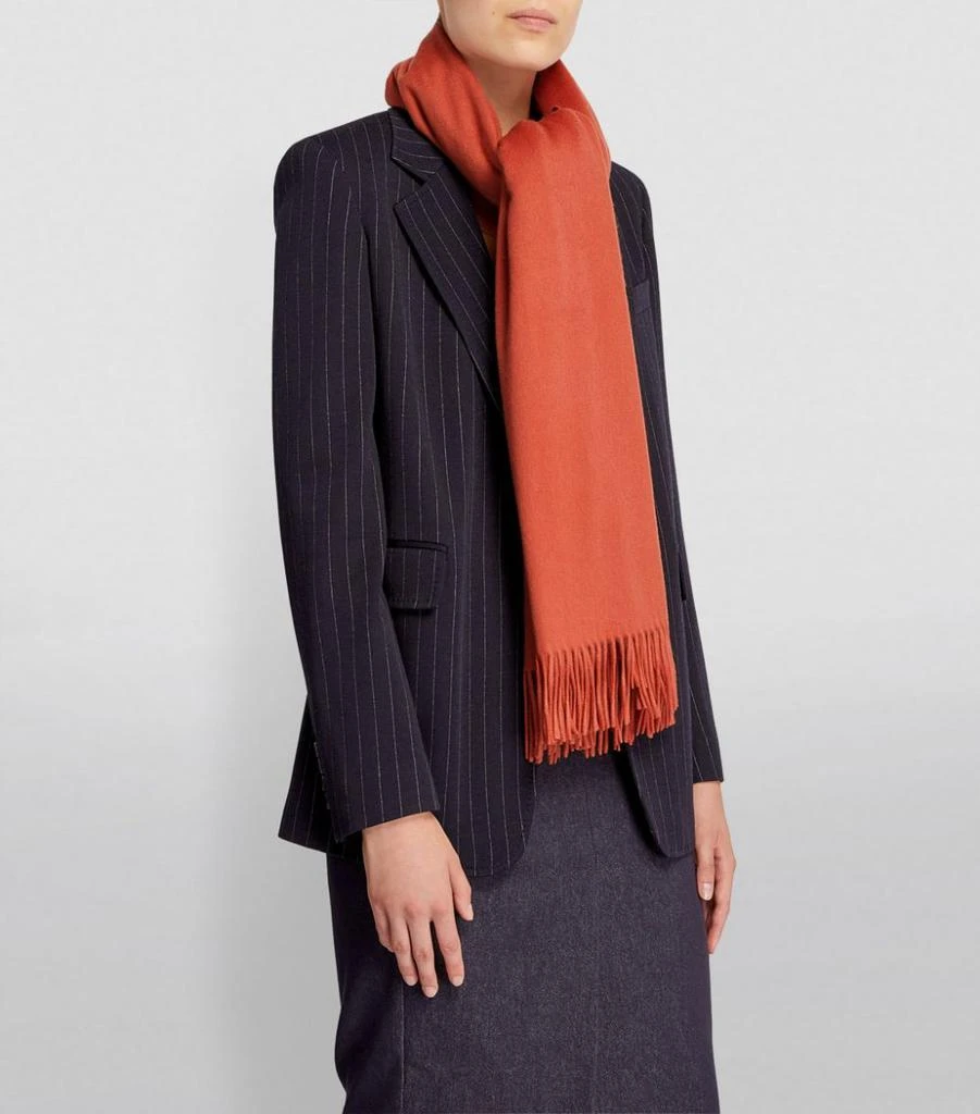 商品Max Mara|Cashmere Scarf,价格¥5590,第5张图片详细描述