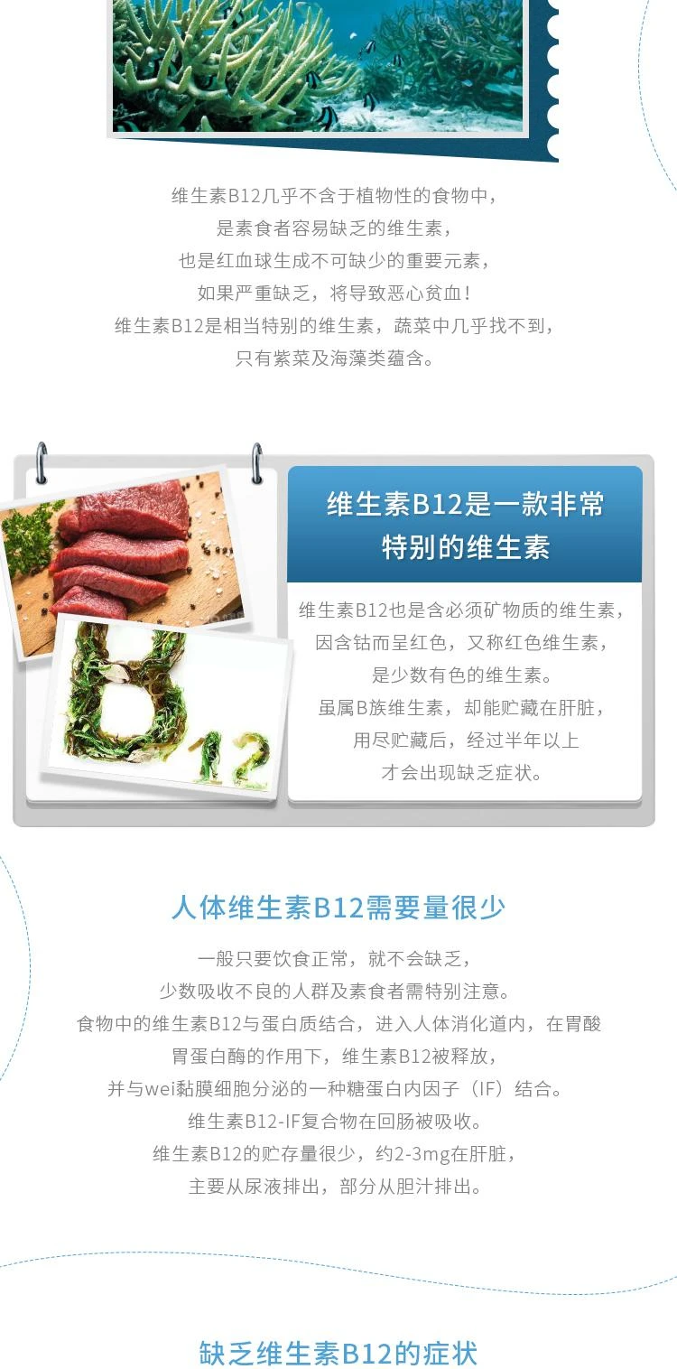 商品Nature Made|Nature Made 维生素 B-12 1000mcg 400粒,价格¥383,第3张图片详细描述
