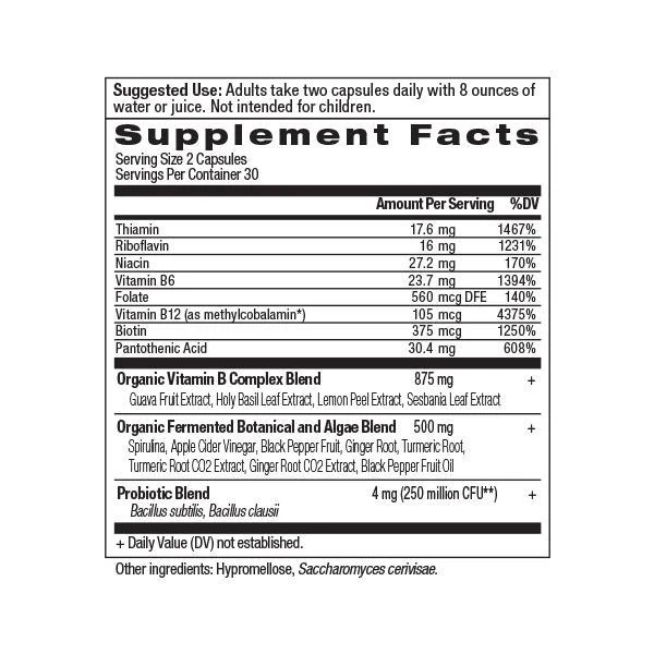 商品Ancient Nutrition|复合维生素B,价格¥599,第2张图片详细描述