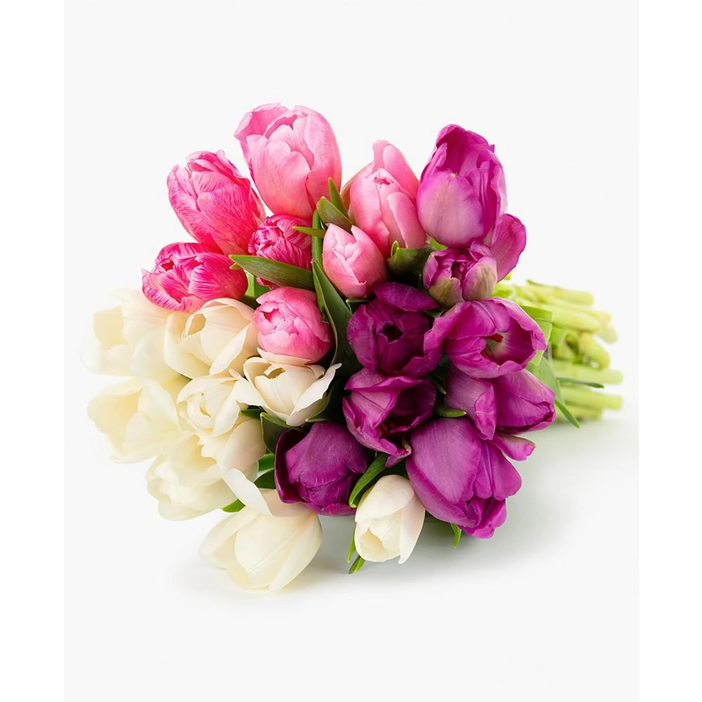 商品BloomsyBox|Sweet Tulips Fresh Flower Bouquet,价格¥427,第4张图片详细描述