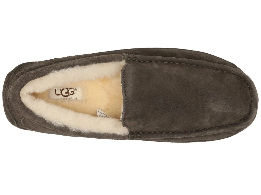 商品UGG|Ascot - WIDE,价格¥829,第2张图片详细描述