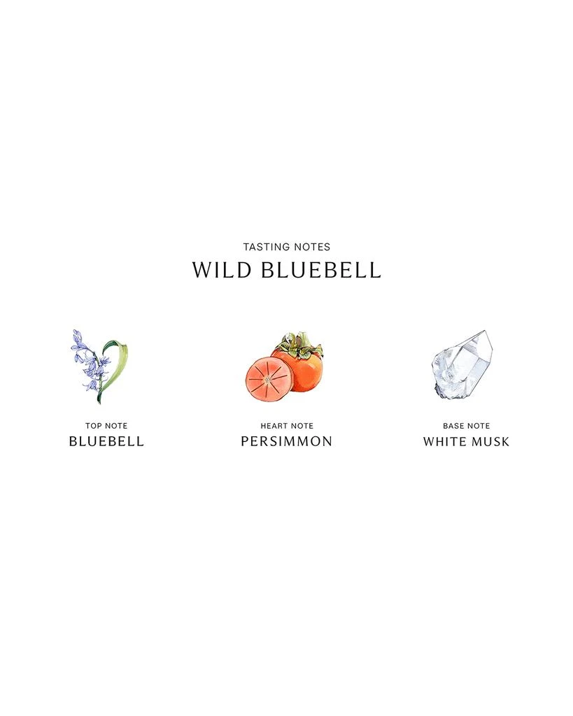 商品Jo Malone London|Wild Bluebell Cologne,价格¥665,第3张图片详细描述