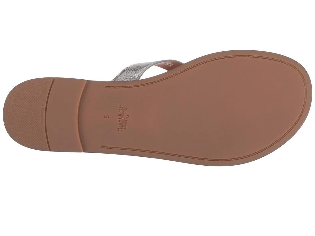 商品Coach|Thong Sandal,价格¥470,第3张图片详细描述