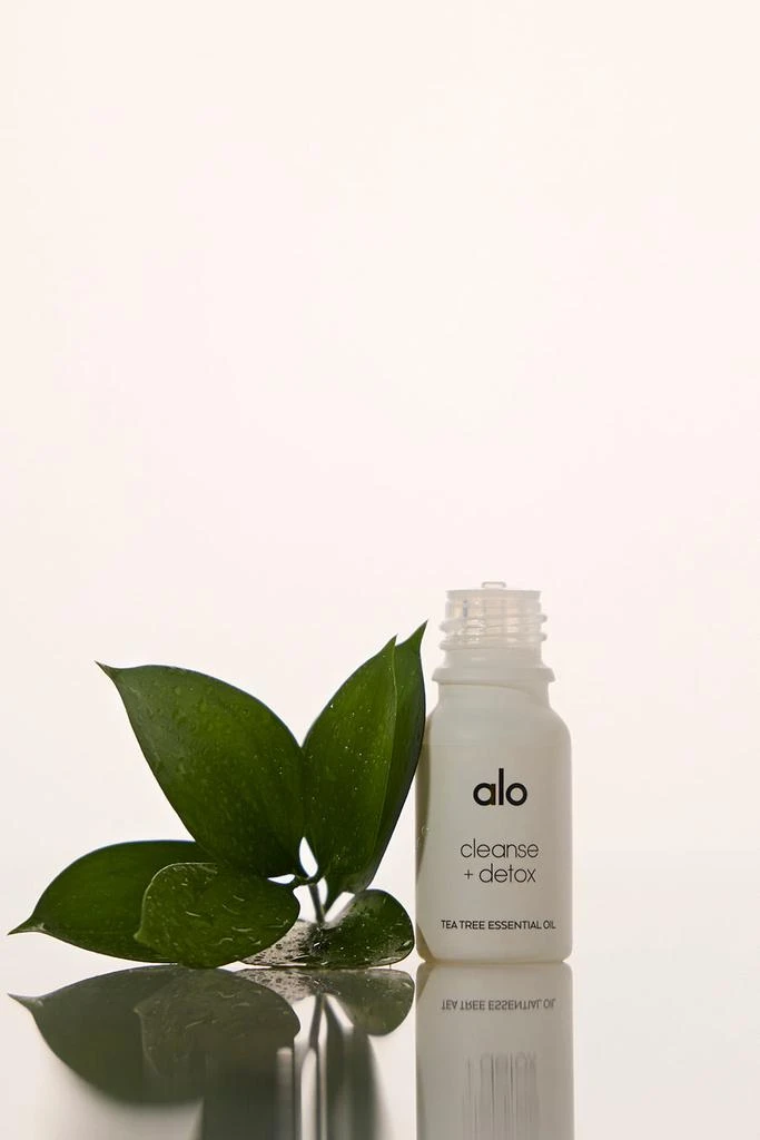 商品Alo|Cleanse & Detox Essential Oil (Tea Tree),价格¥136,第2张图片详细描述