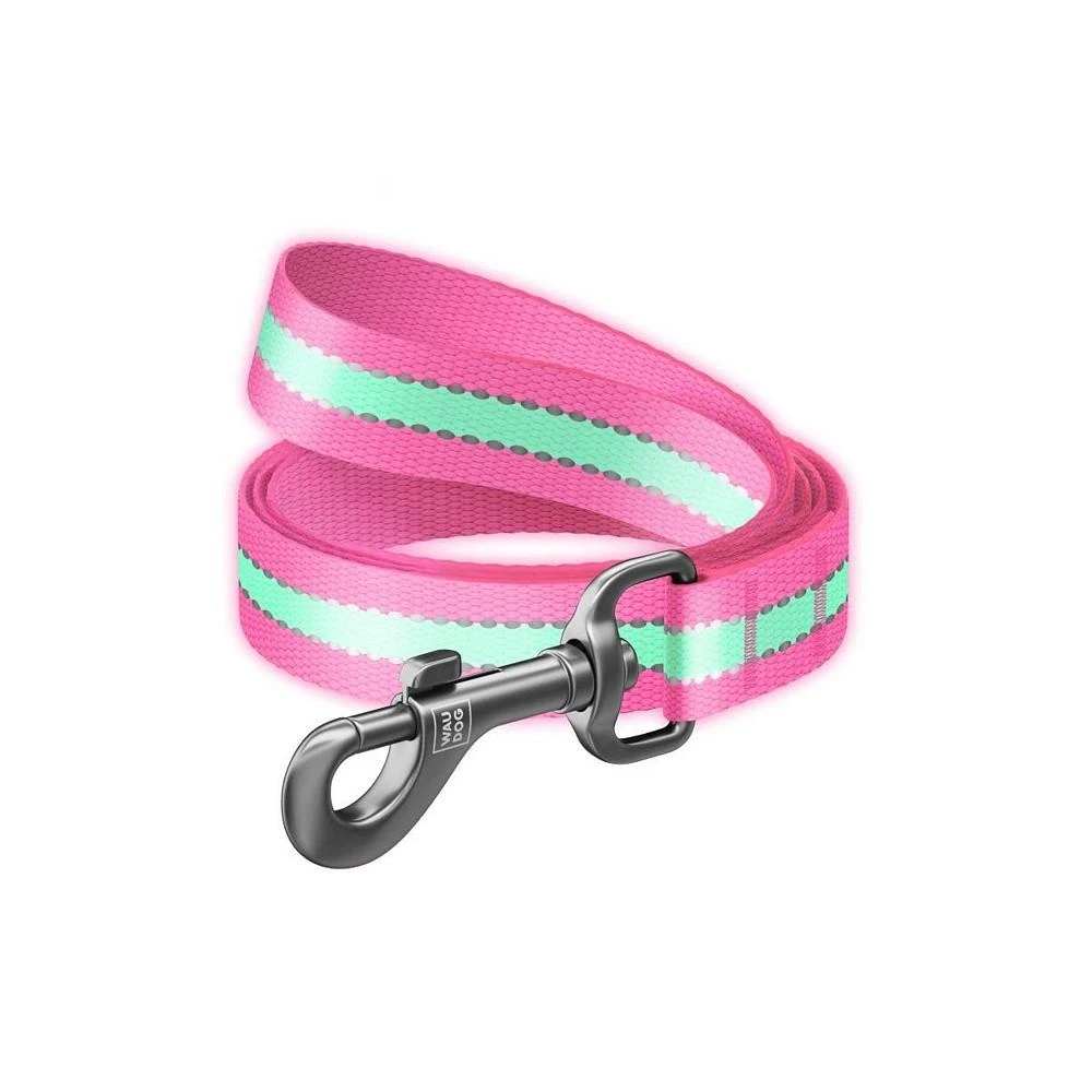商品Waudog|Nylon dog leash, glow in the dark/reflective,价格¥186,第1张图片
