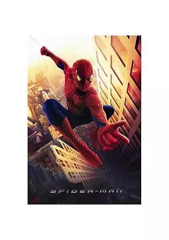 商品Pop Culture Graphics|Culture Graphics Pop Culture Graphics Movad1790 Spider Man Movie Poster44 11 X 17,价格¥247,第1张图片