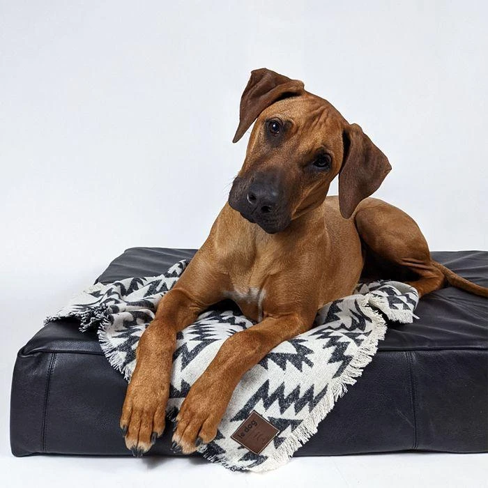 商品Le Dog Company|Leather Dog Bed,价格¥2739,第1张图片
