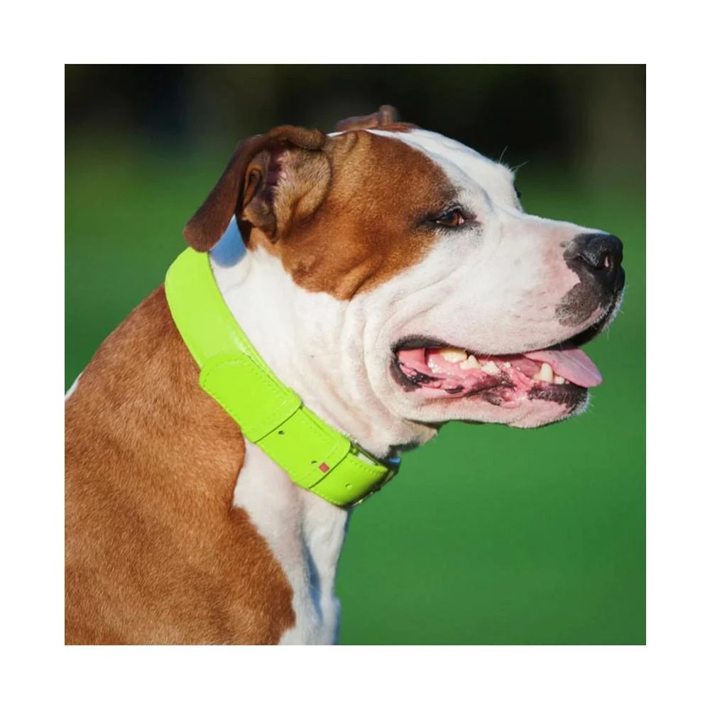 商品Waudog|Glamour genuine leather dog collar with QR passport,价格¥127,第2张图片详细描述