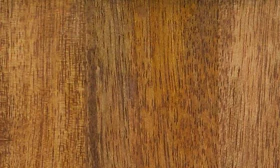 商品SONOMA SAGE HOME|Brown Wood Glam Cutting Board,价格¥313,第5张图片详细描述