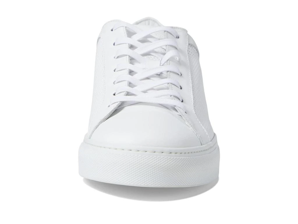 Jake Perf Lace To Toe 商品