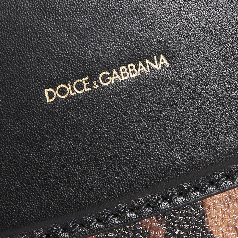 Dolce&Gabbana 杜嘉班纳 女士豹纹手提包 BB5834-A7158-8S193商品第3张图片规格展示