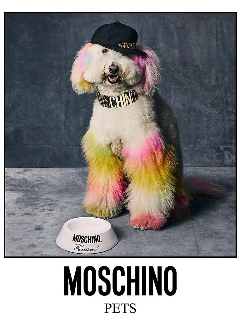 商品Moschino|Lettering Logo XL Dog Collar,价格¥664,第2张图片详细描述