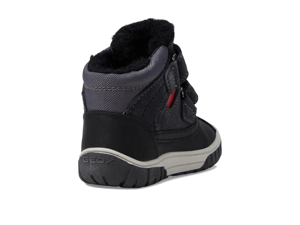 商品Geox|Omar WPF7 (Toddler),价格¥466,第5张图片详细描述