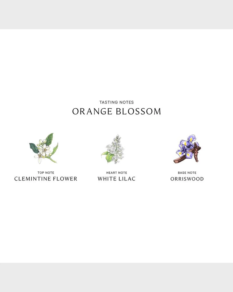 商品Jo Malone London|5.5 oz. Orange Blossom Diffuser,价格¥865,第3张图片详细描述