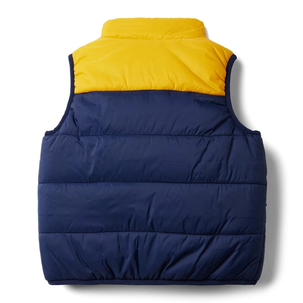 商品Janie and Jack|Blocked Puffer Vest (Toddler/Little Kids/Big Kids),价格¥336,第2张图片详细描述