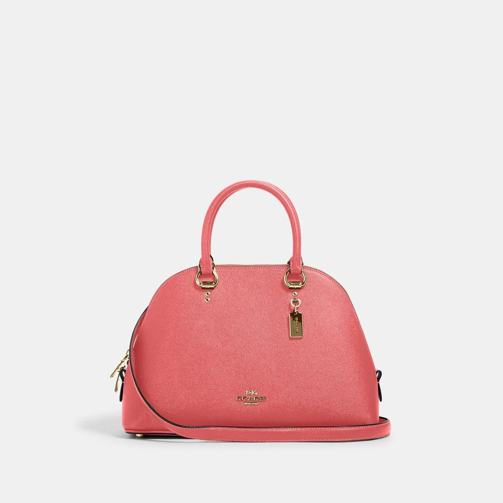 COACH Katy Satchel 商品