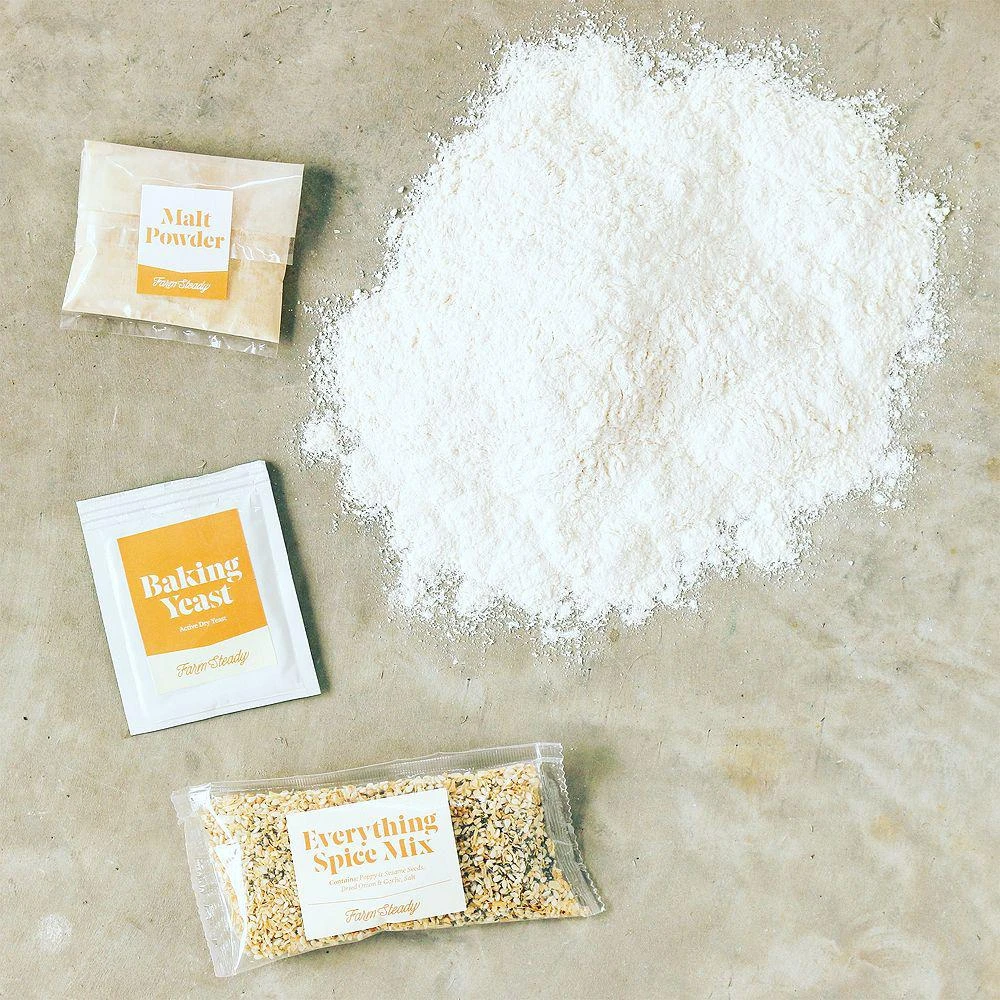 Brooklyn Brew Shop Everything Bagel and Cream Cheese Making Kit 商品