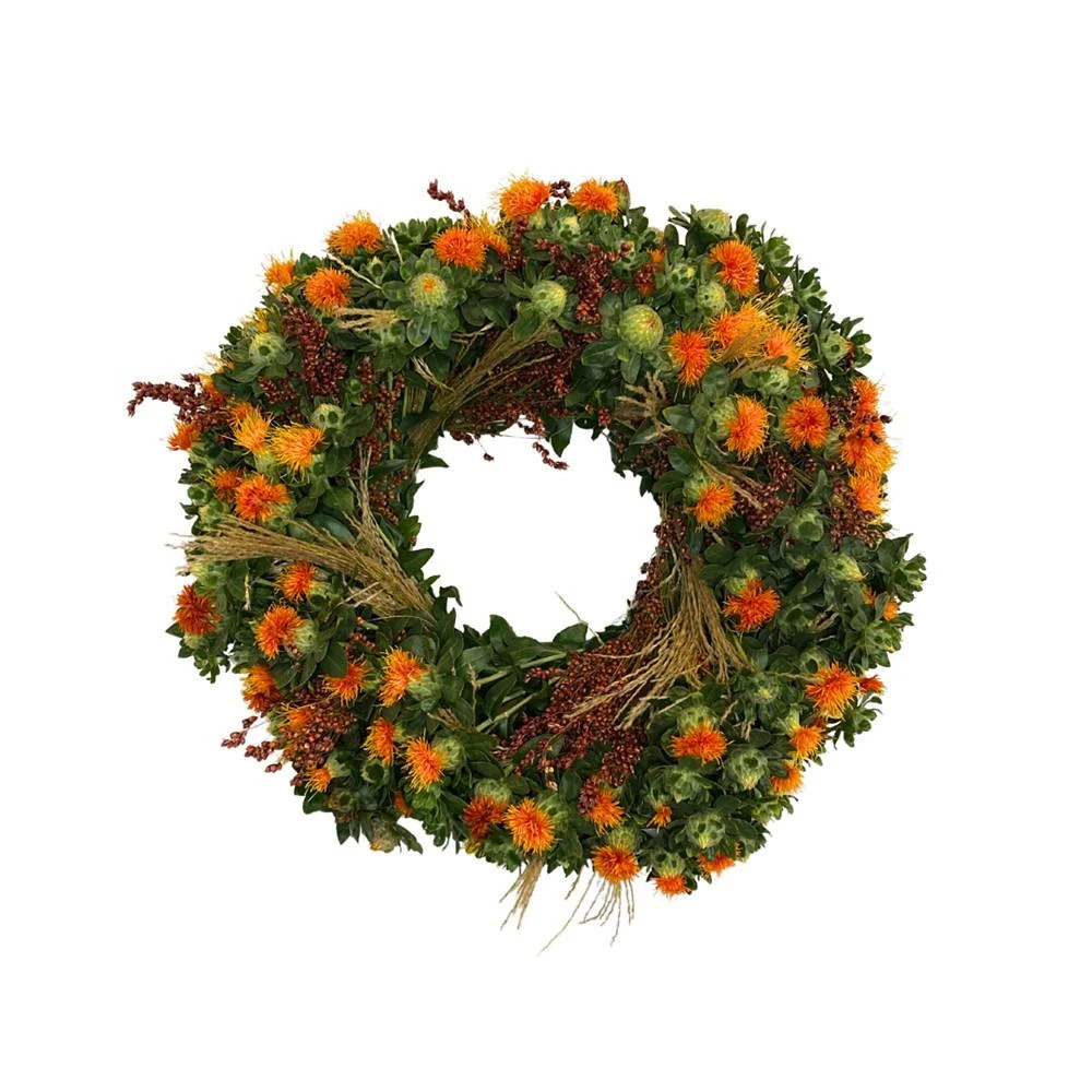 商品GreenishBlu|Fresh Real Safflower and Sorghum Wreath,价格¥584,第1张图片