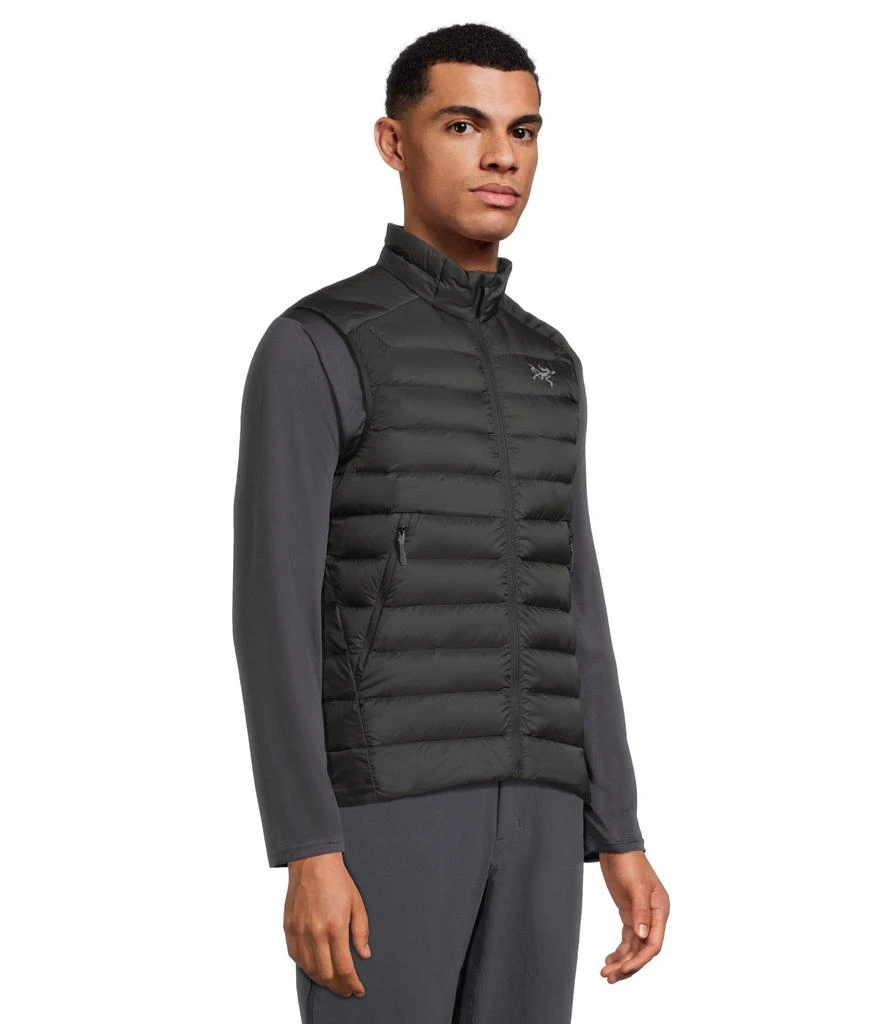 商品Arc'teryx|Cerium Vest,价格¥2422,第2张图片详细描述