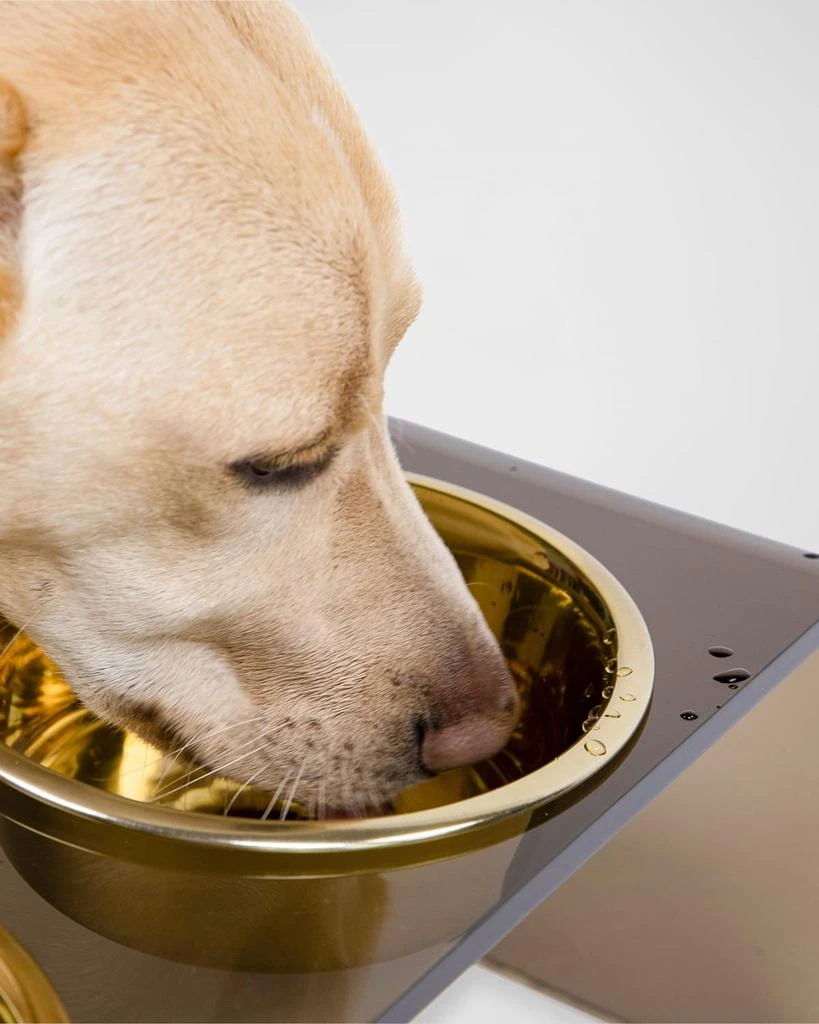 商品HIDDIN|Bronze Single Bowl Pet Feeder, 2 Qt Golden Bowl,价格¥815,第3张图片详细描述