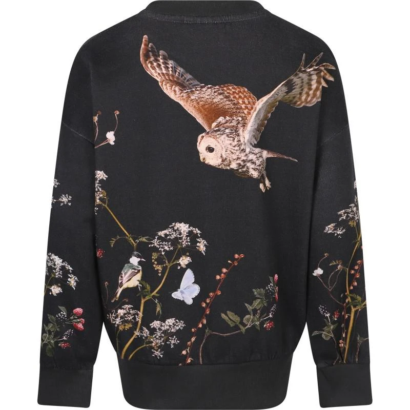 商品MOLO|Moonlight owls print organic sweatshirt in black,价格¥693,第2张图片详细描述