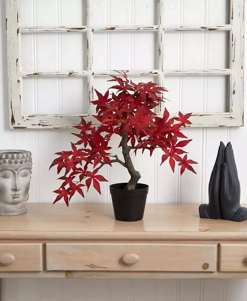 商品NEARLY NATURAL|Autumn Maple Bonsai, 20",价格¥464,第3张图片详细描述