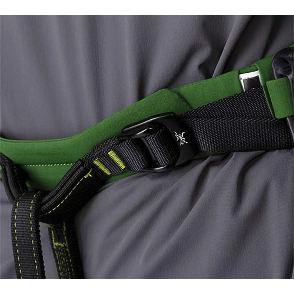 Arcteryx Men's FL-365 Harness 商品