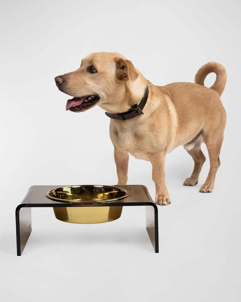 商品HIDDIN|Bronze Single Bowl Pet Feeder, 2 Qt Golden Bowl,价格¥1079,第2张图片详细描述